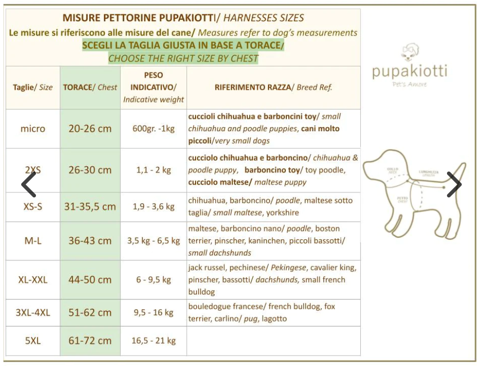 Pupakiotti Set Basic 3 Pezzi in Pelle Topazio