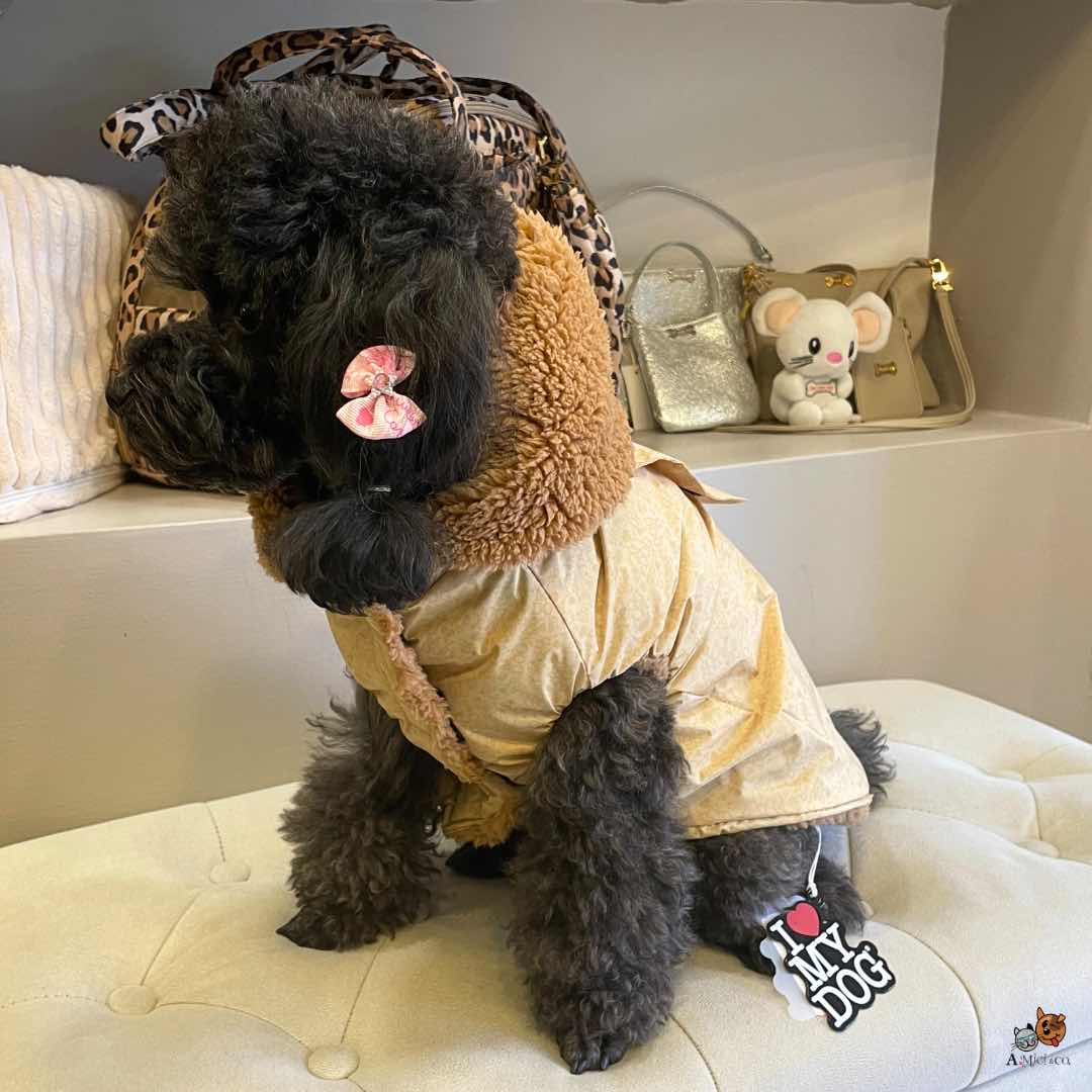 Rainjacket Sporty Jojoba