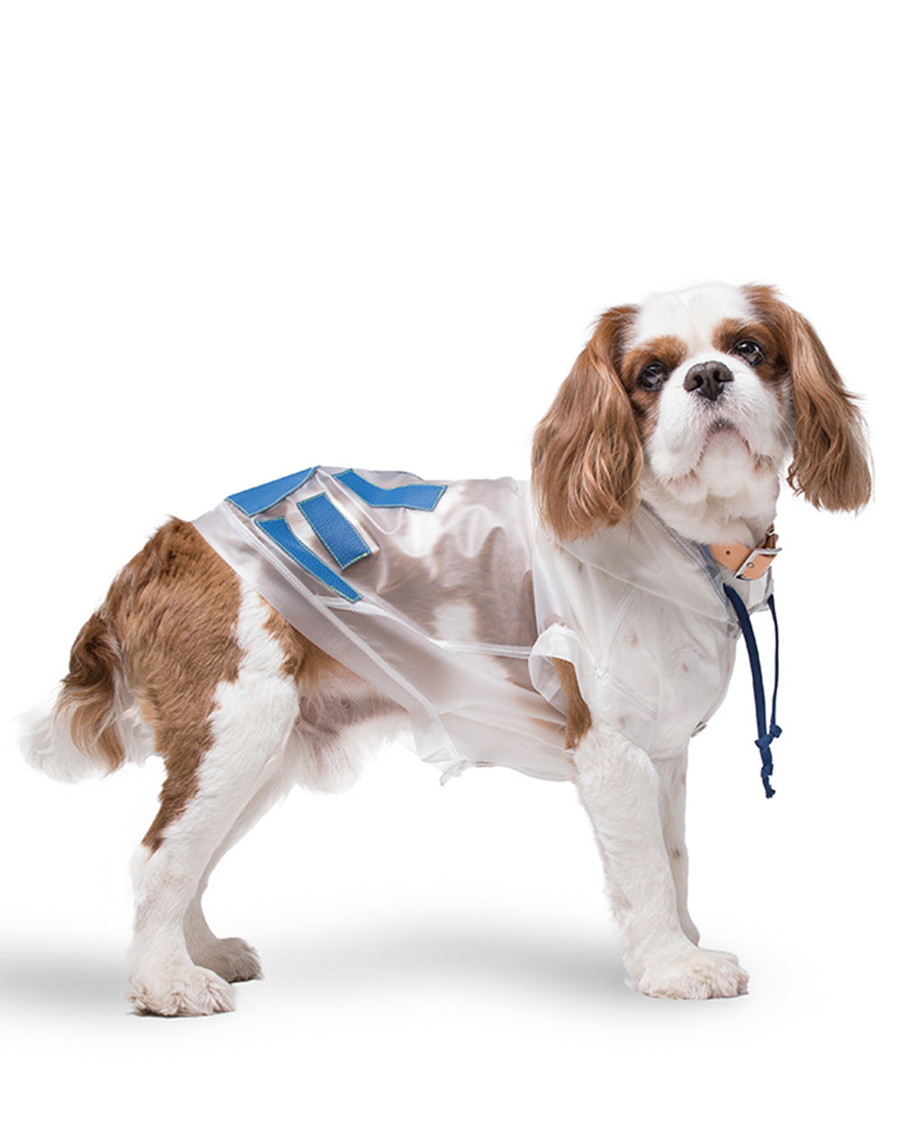 Imperméable Shiko-Me Montego Bay Bleu