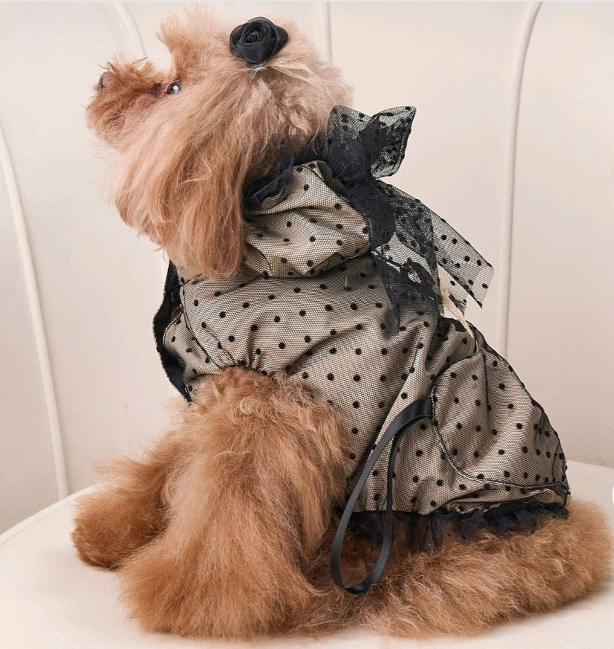 Dreamy black plumetis Teo I'm Cool