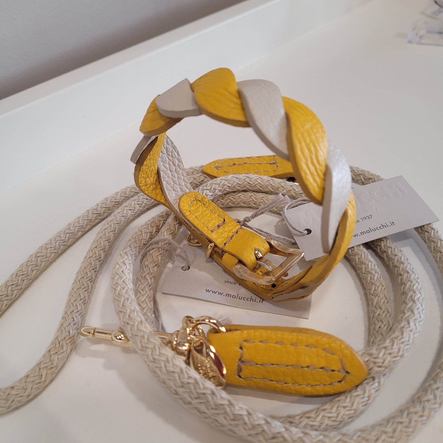 Set collare più guinzaglio burro/yellow