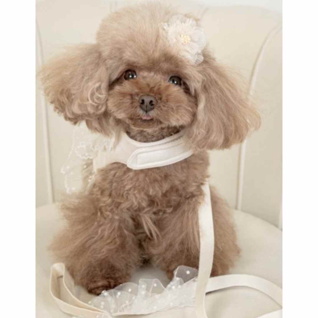 Teo I'm Cool Pettorina Chic White Tailoring Harness