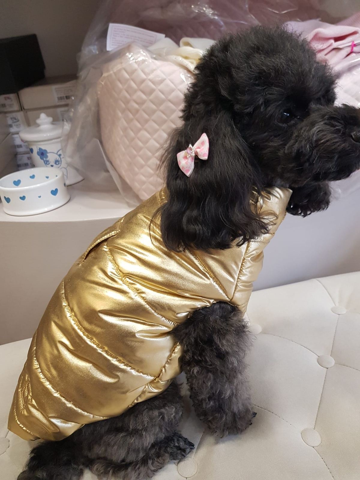 Shiko-Me Piumino Toolo Oro