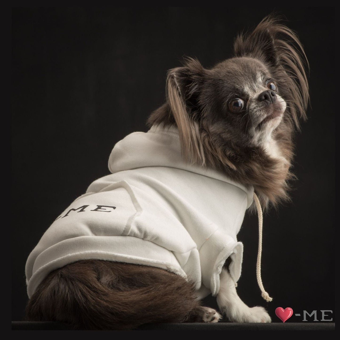 Shiko-Me Larchmount Oversized Sweatshirt - 3 colors