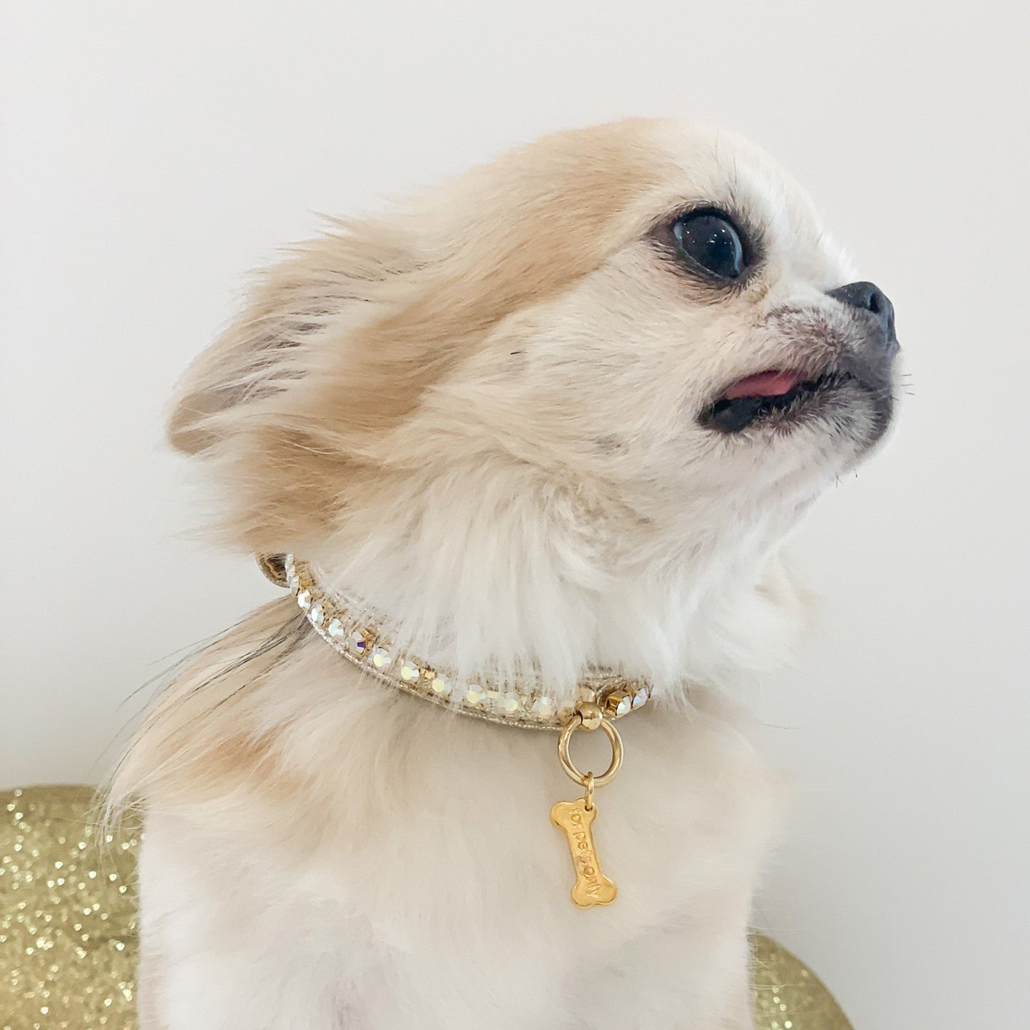 Diamond Gold Collar