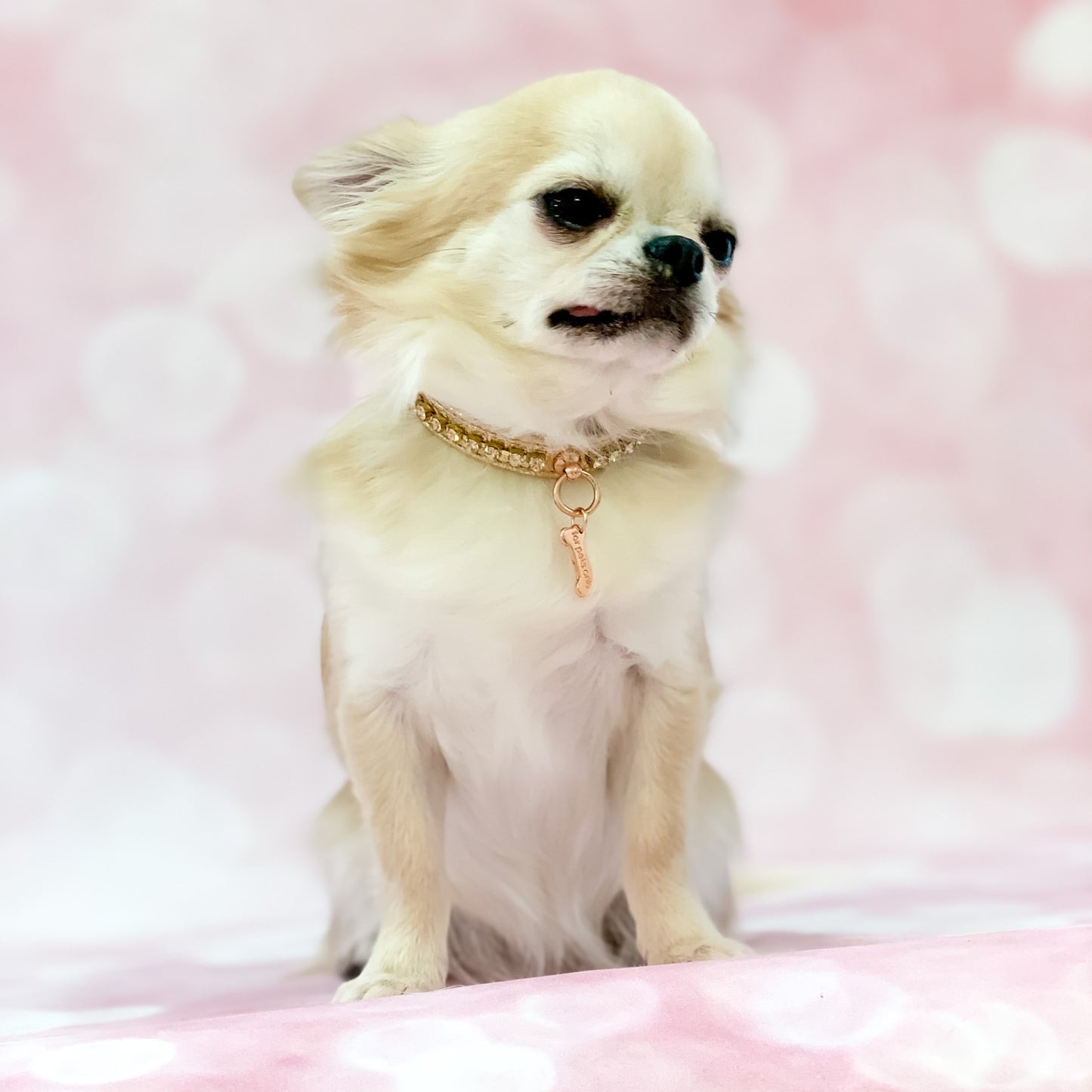 Diamond Rose Gold Collar