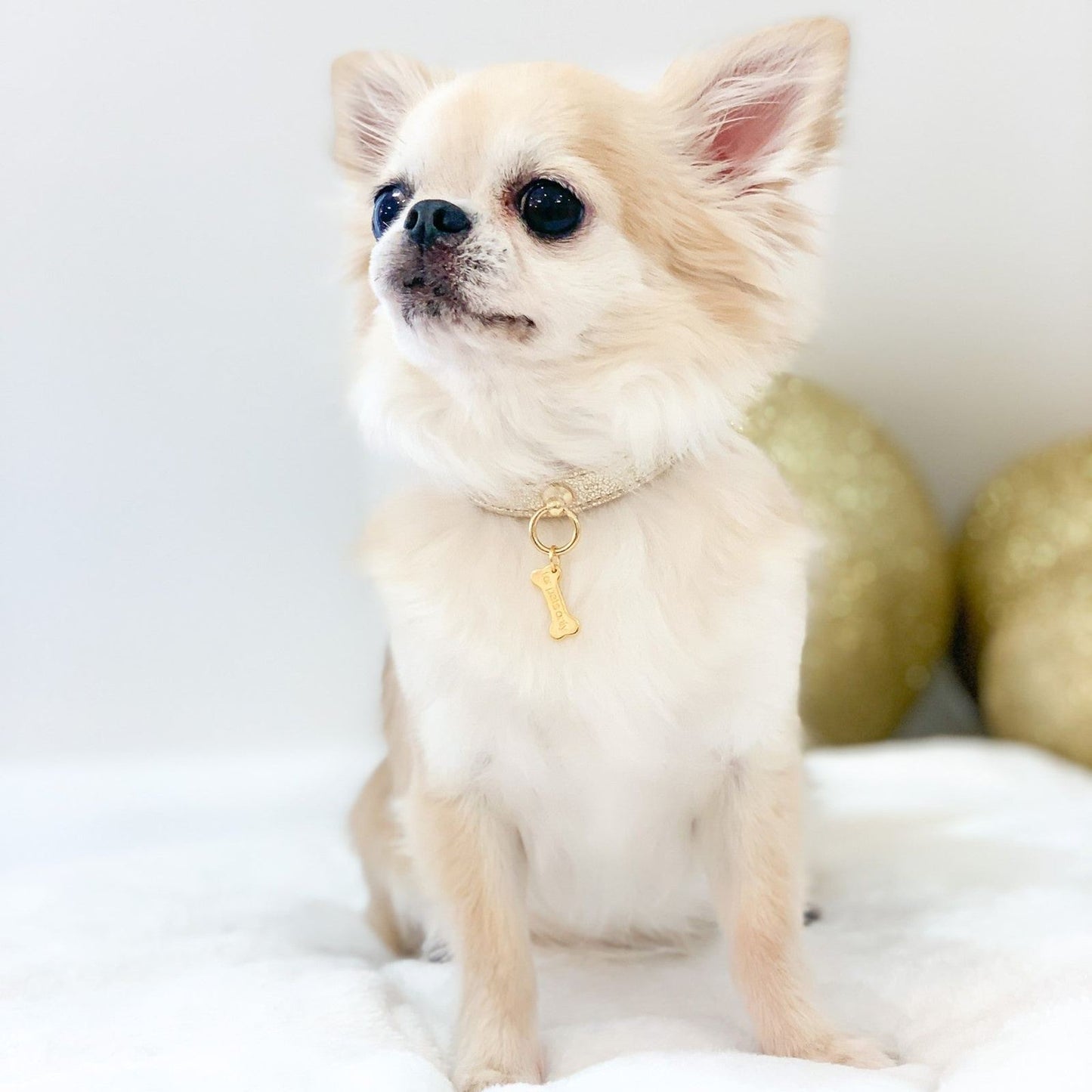 Plain Metal Gold Collar