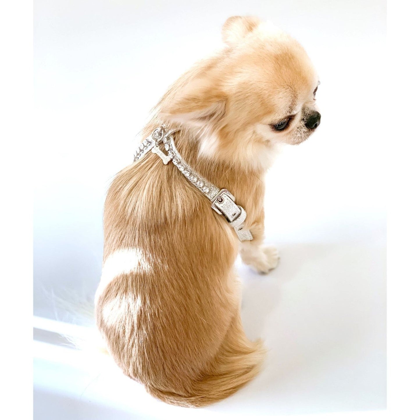 Diamond Silver Harness