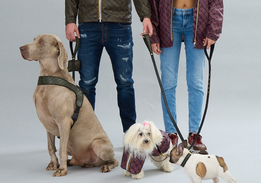 Liu Jo Pets Human Rain Jacket Stawberry Black