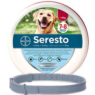Collier Antiparasitaire Seresto pour Grands Chiens >8kg