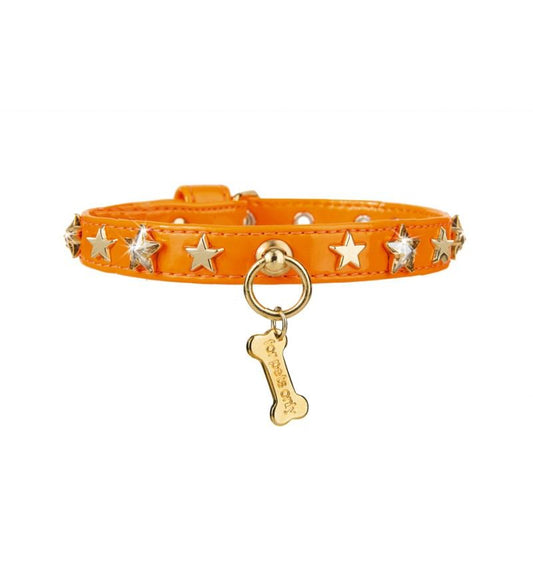 collare-per-cani-star-collar-orange