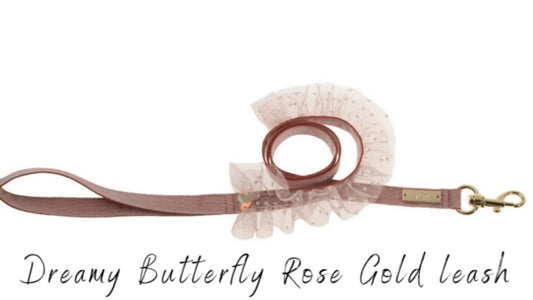 Dreamy Butterfly rose gold leash