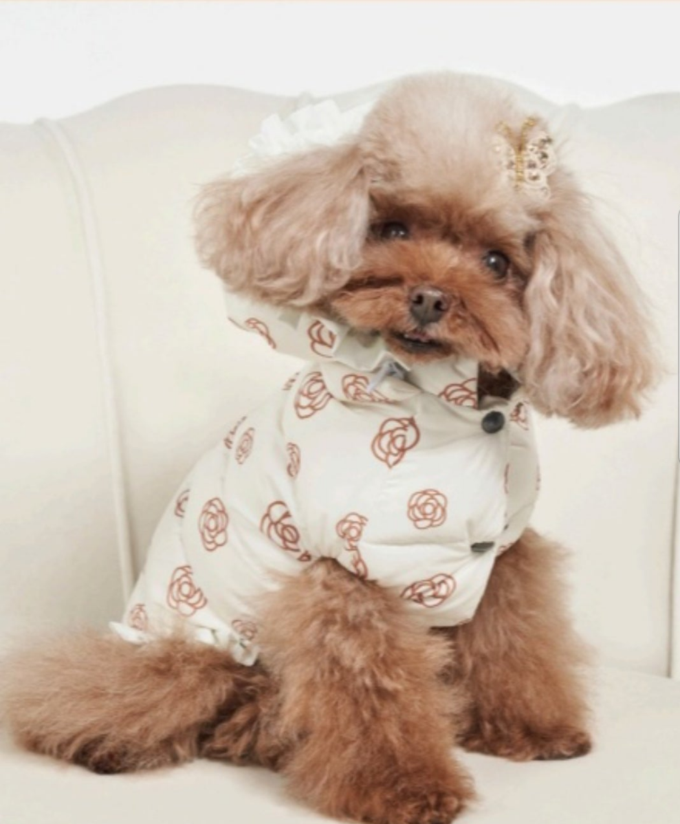 DE LUX CAMELIA  down jacket