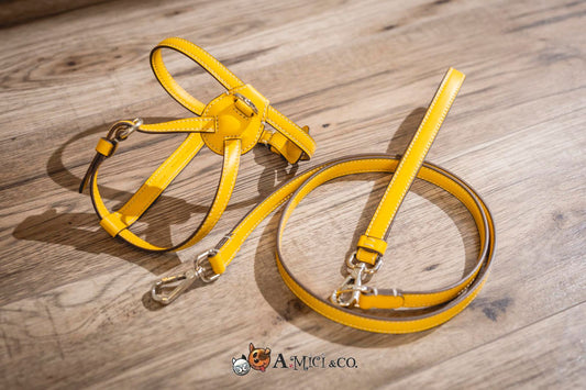 pettorina nuvola  più guinzaglio