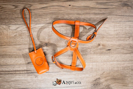 Set pettorina nuvola arancio più portasacchetti