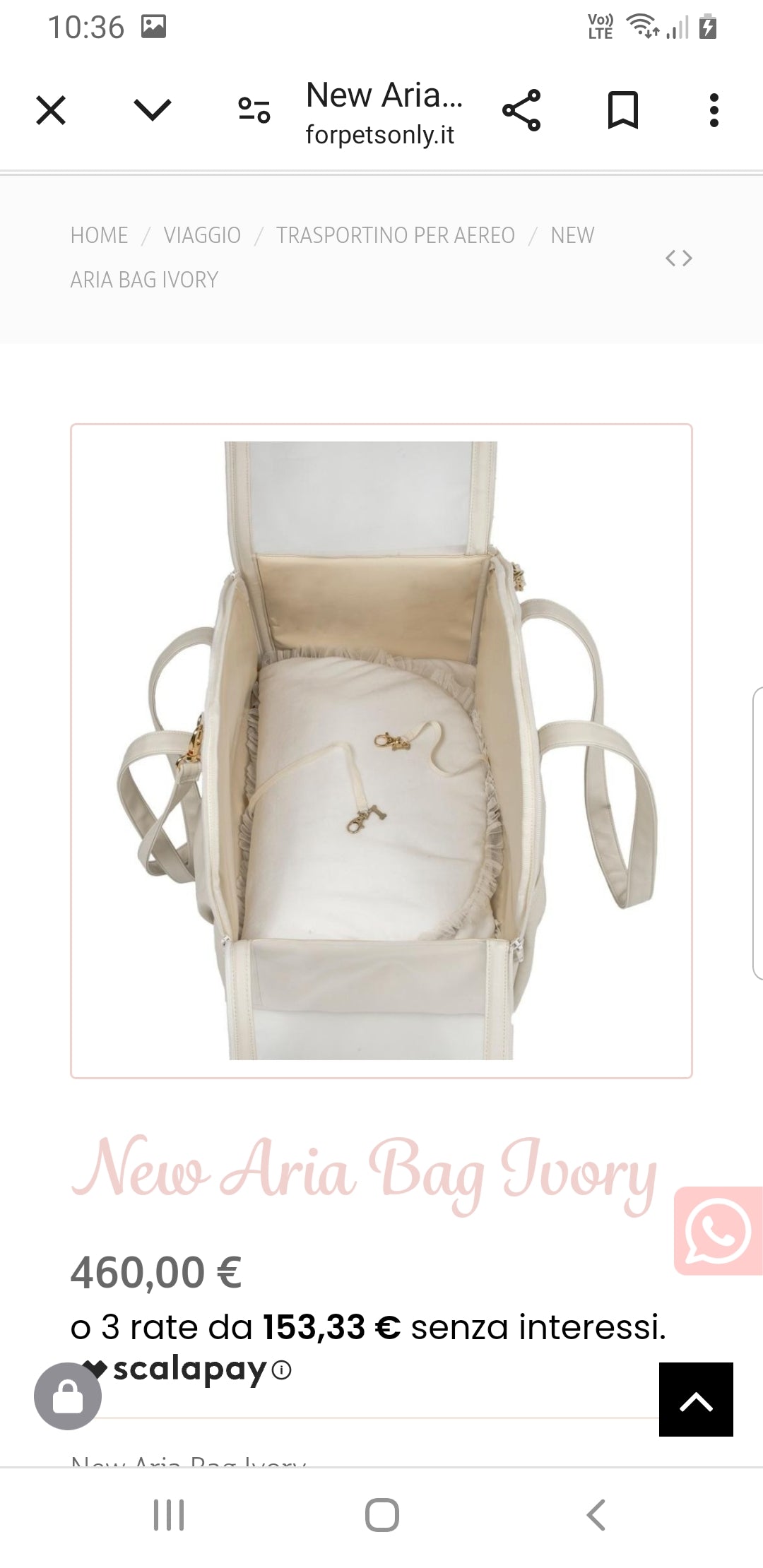 New aria bag Ivory regular