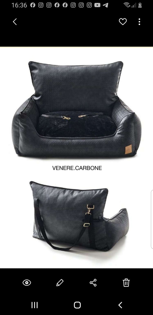 Car seat venere carbone