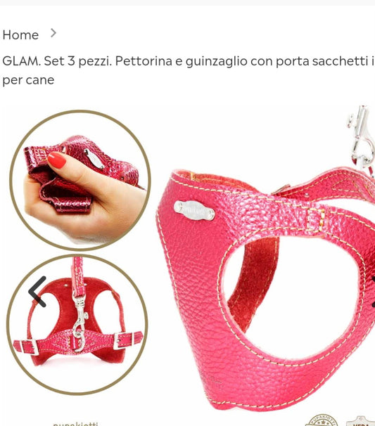 Glam color fragola set 3 pezzi. Pettorina più guinzaglio e porta sacchetti