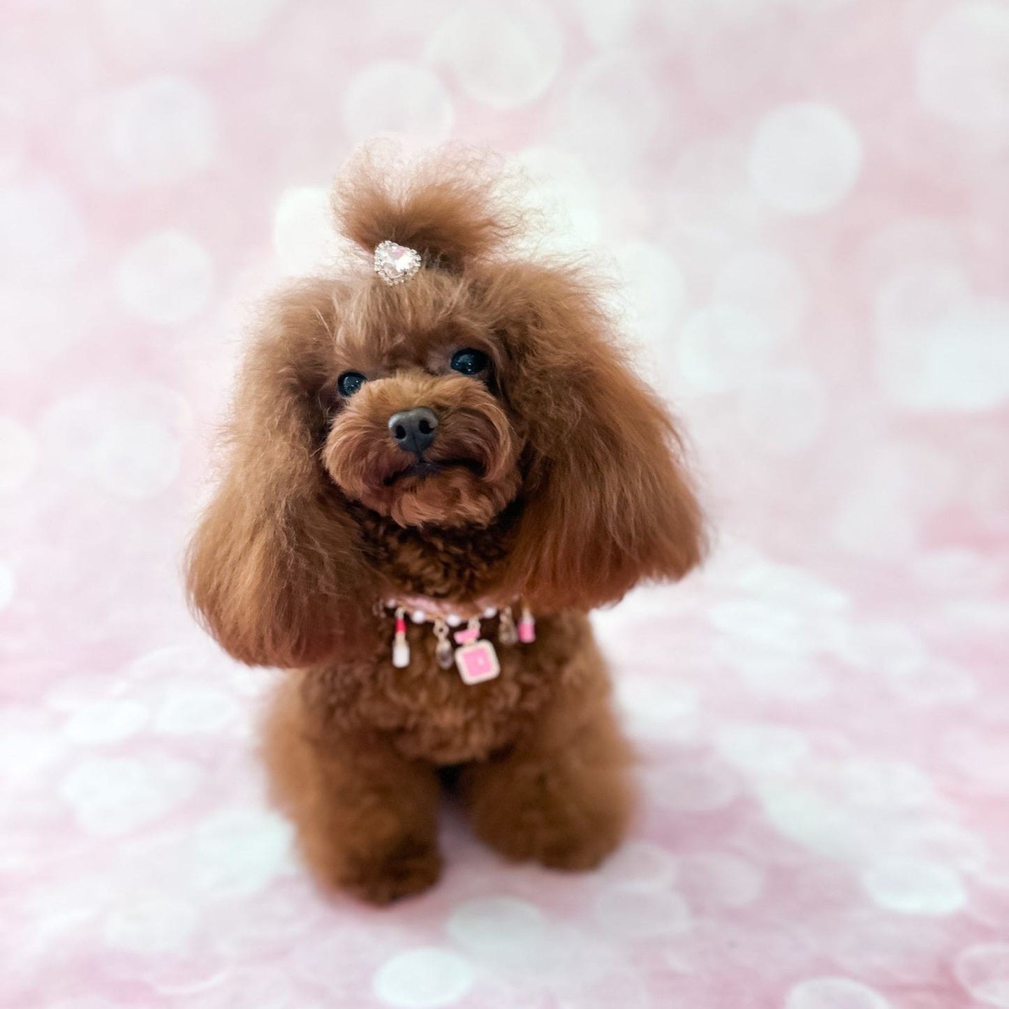 For Pets Only Heart Bling Hairclip Apricot