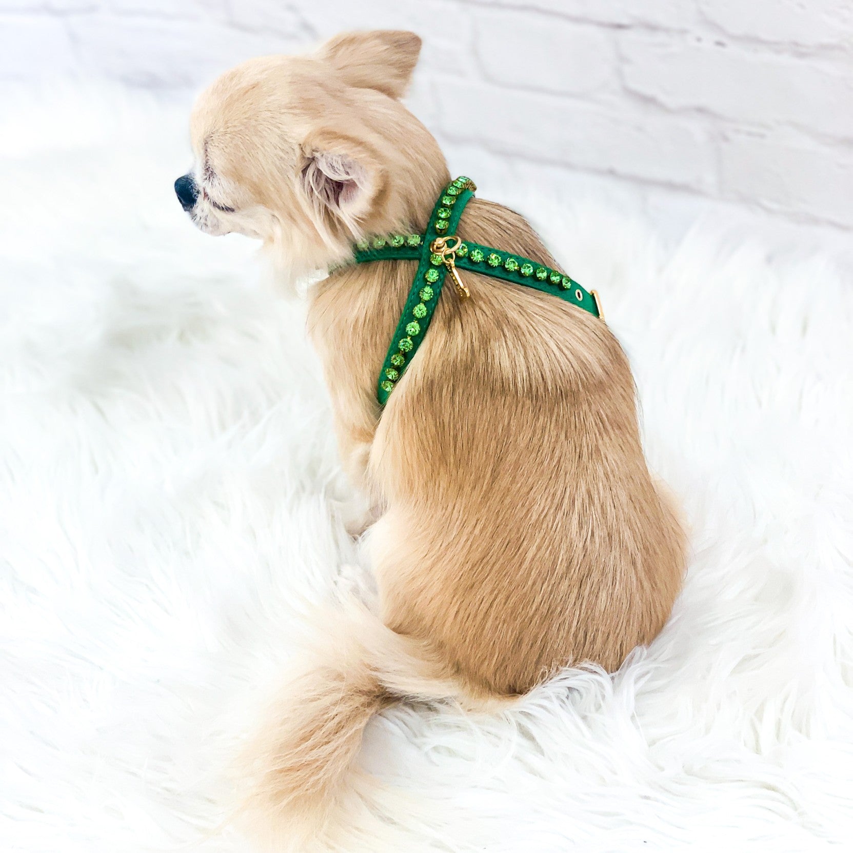 For Pets Only Diamond Harness Flora