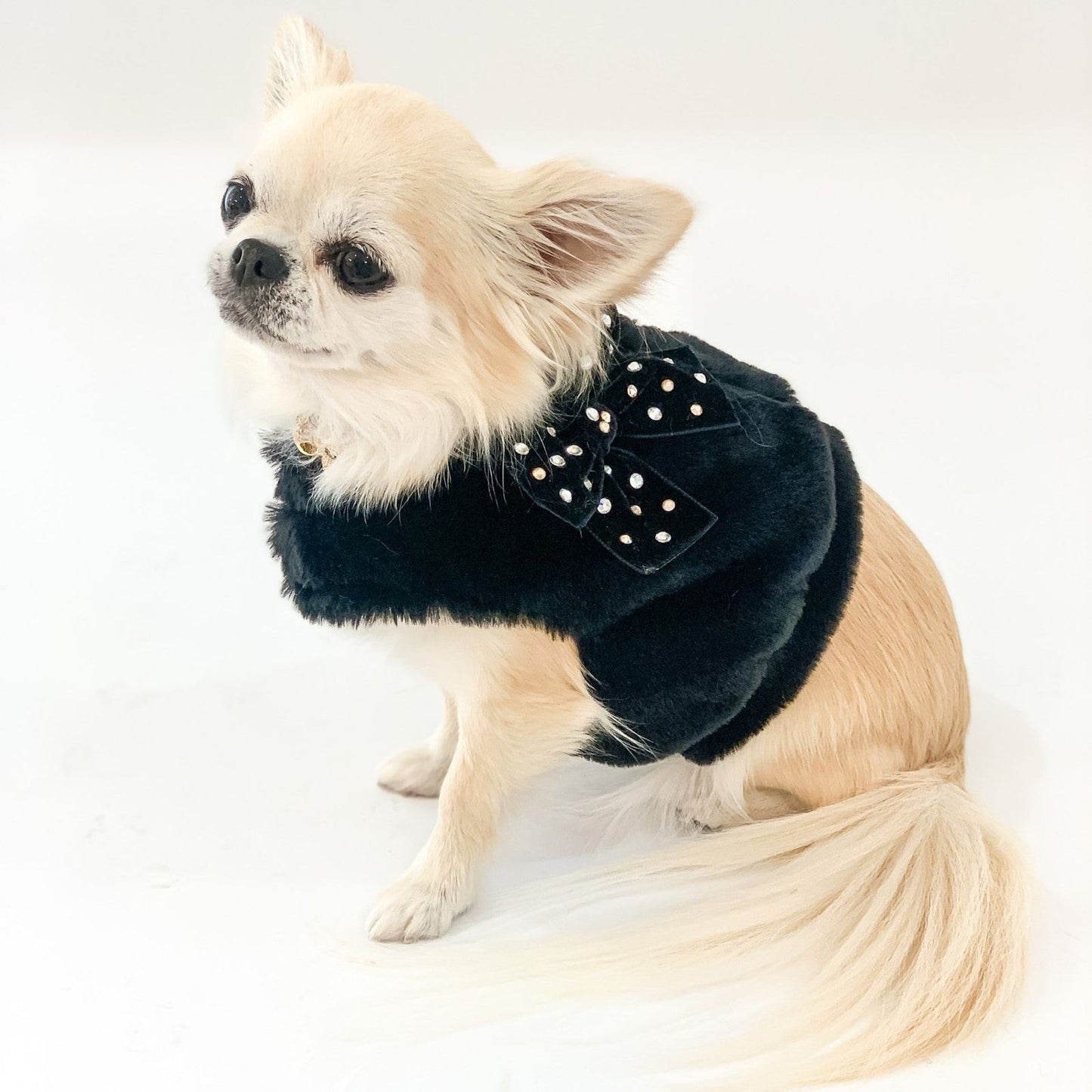For Pets Only Sparkle Harness Jacket Black