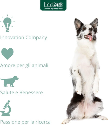 Innovet Restomyl Dentalbones Alimento Complementare per Cani