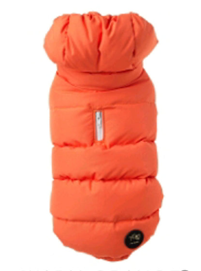 Down jacket Teo I'm Cool