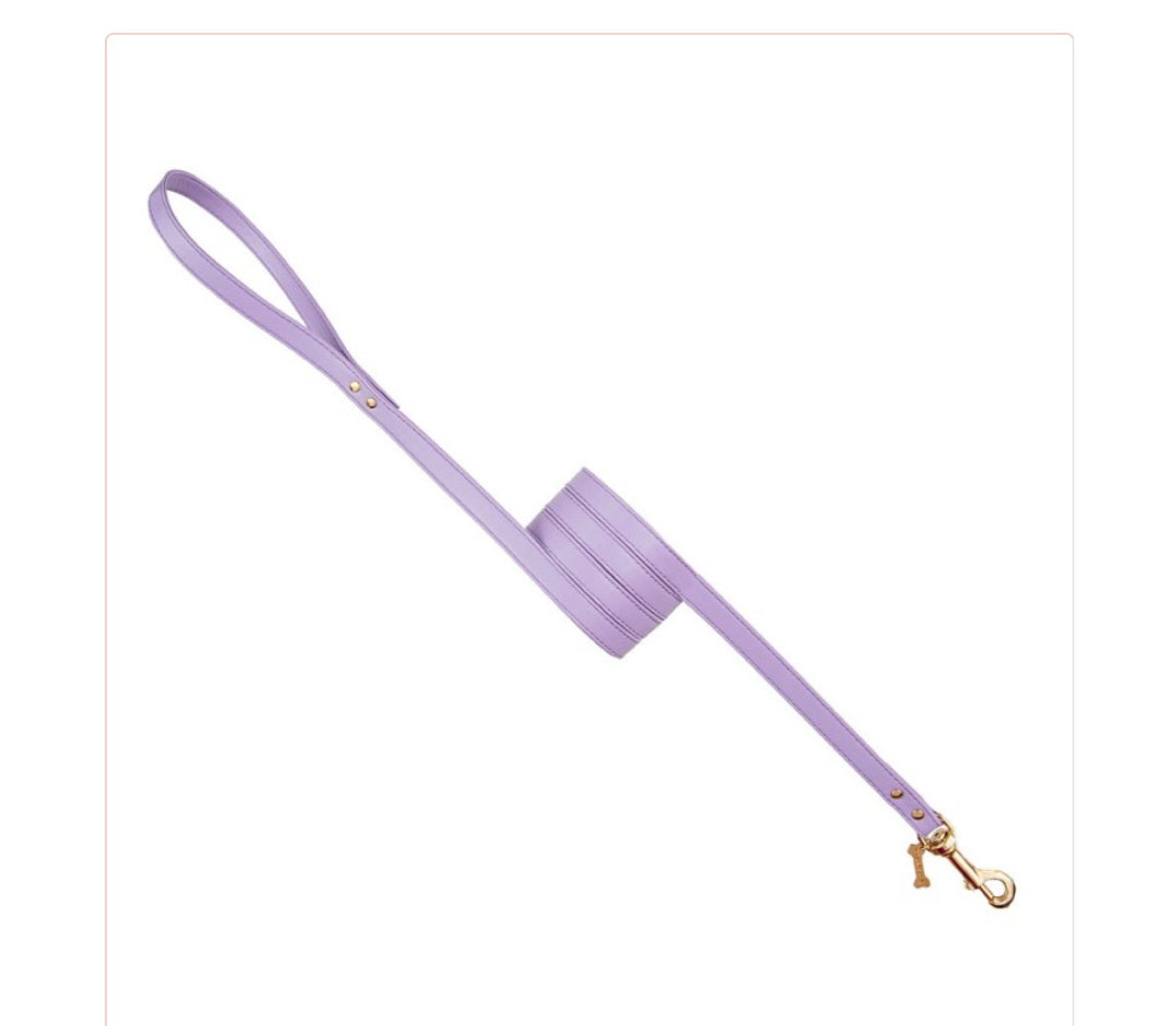 Plain lead lilac
