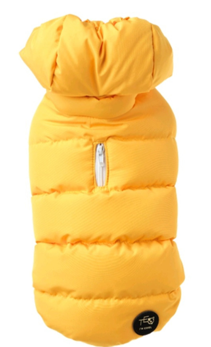 Down jacket Teo I'm Cool