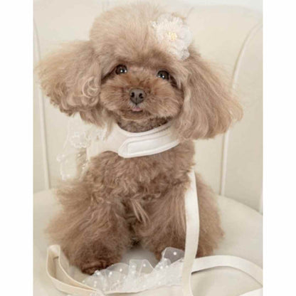 Teo I'm Cool Chic White Tailoring Harness