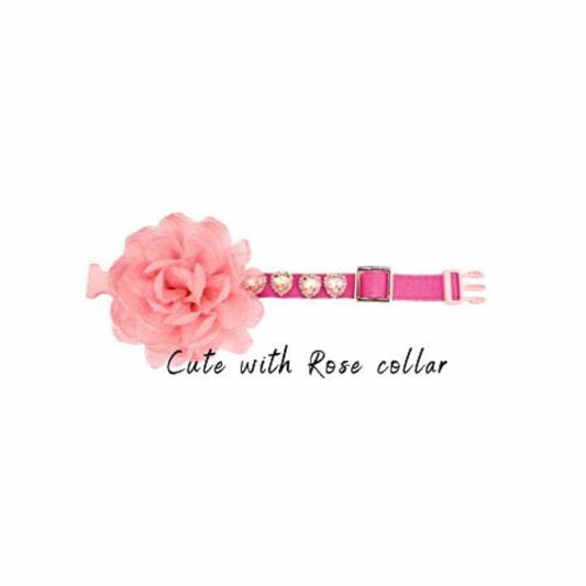 Collare Cute with Rose Collar