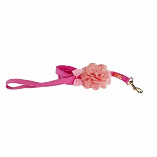 Teo I'm Cool Cute with Rose Leash