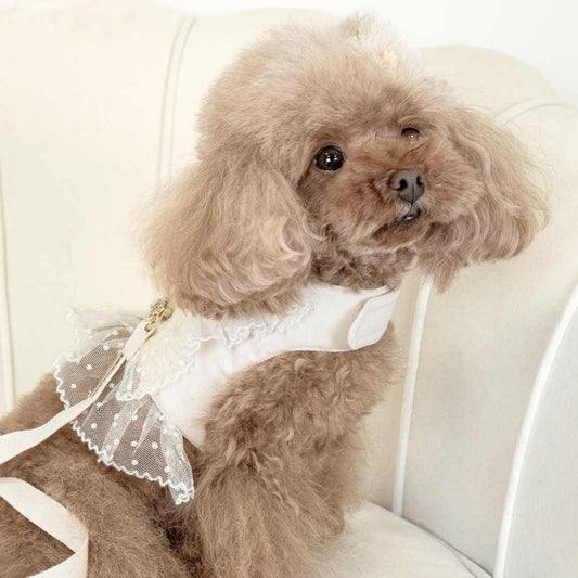 Teo I'm Cool Pettorina Chic White Tailoring Harness