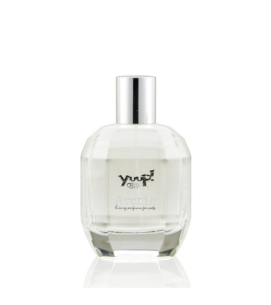 Parfum Arctic Yuup 100ml