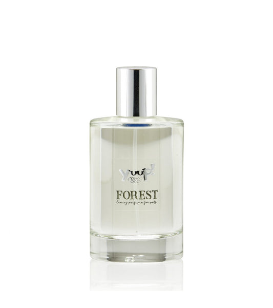 Parfum Forêt Yuup 100ml