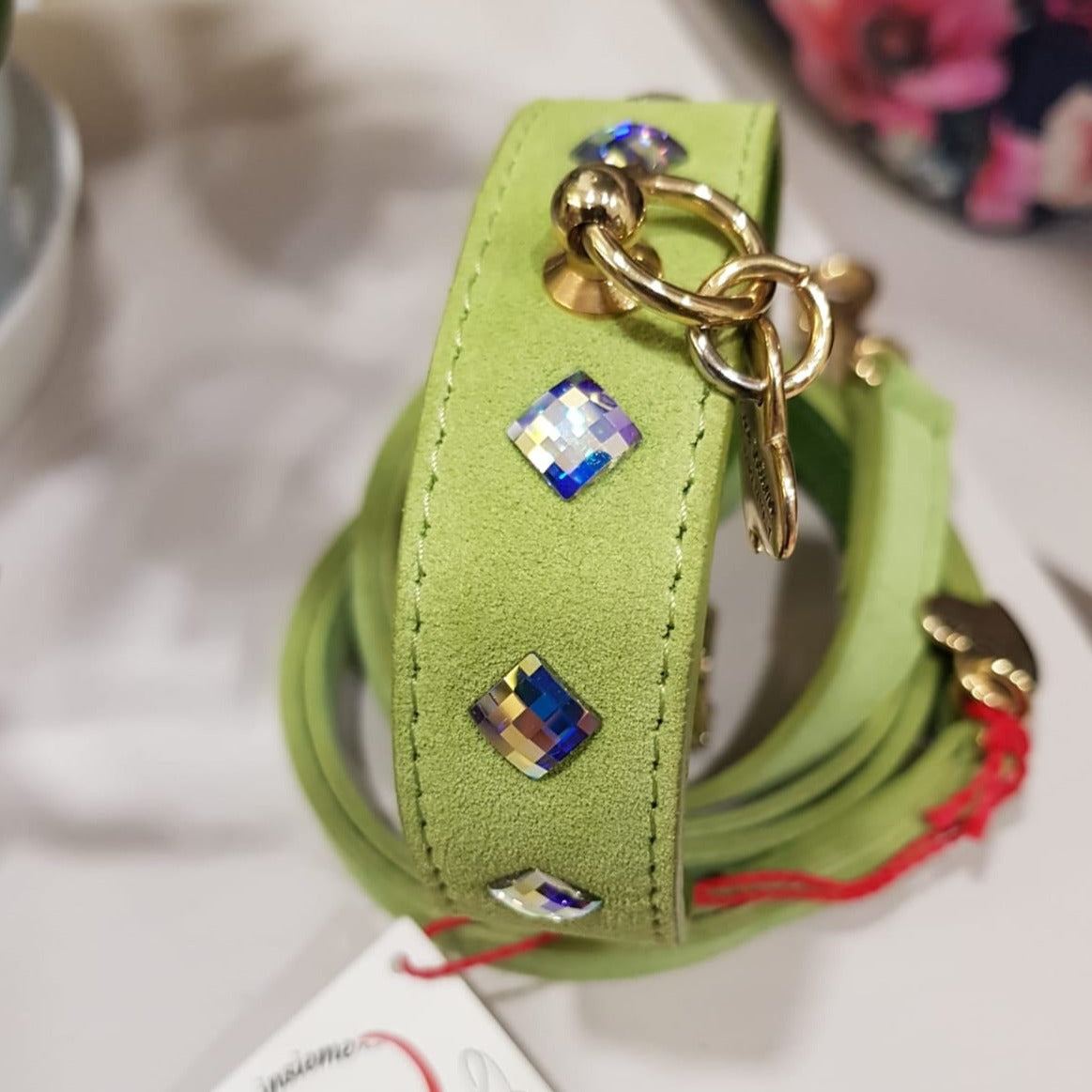 COMPLETE LEASH AND COLLAR MALUCCHI GREEN
