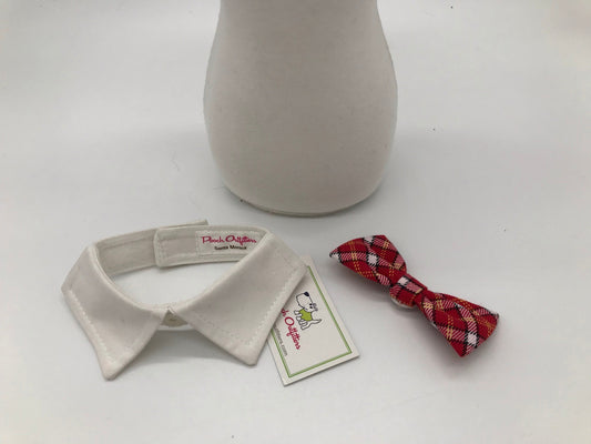 White collar with bow tie - Pooch Outfitters