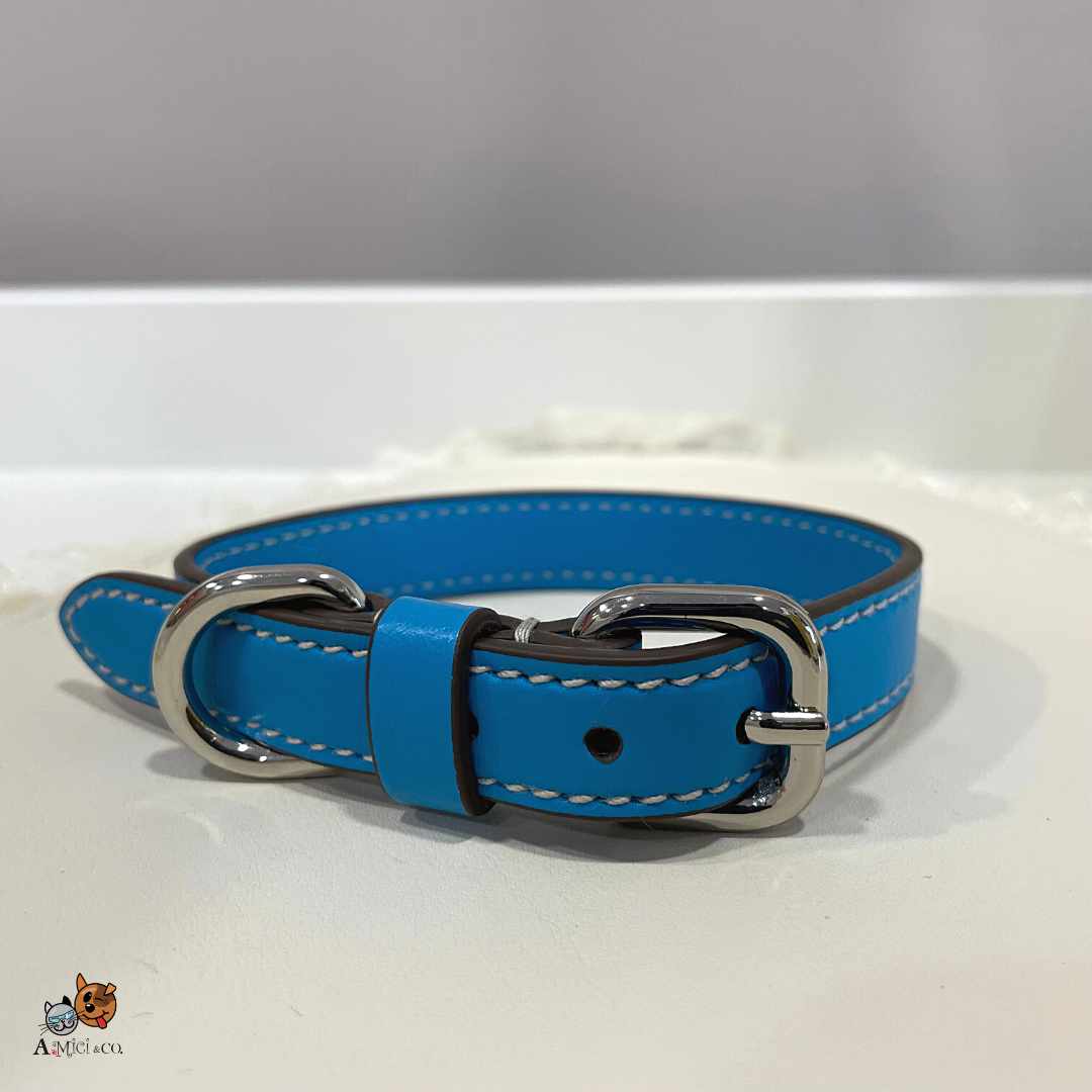 Carlotta Palermo Collar in Turquoise Leather
