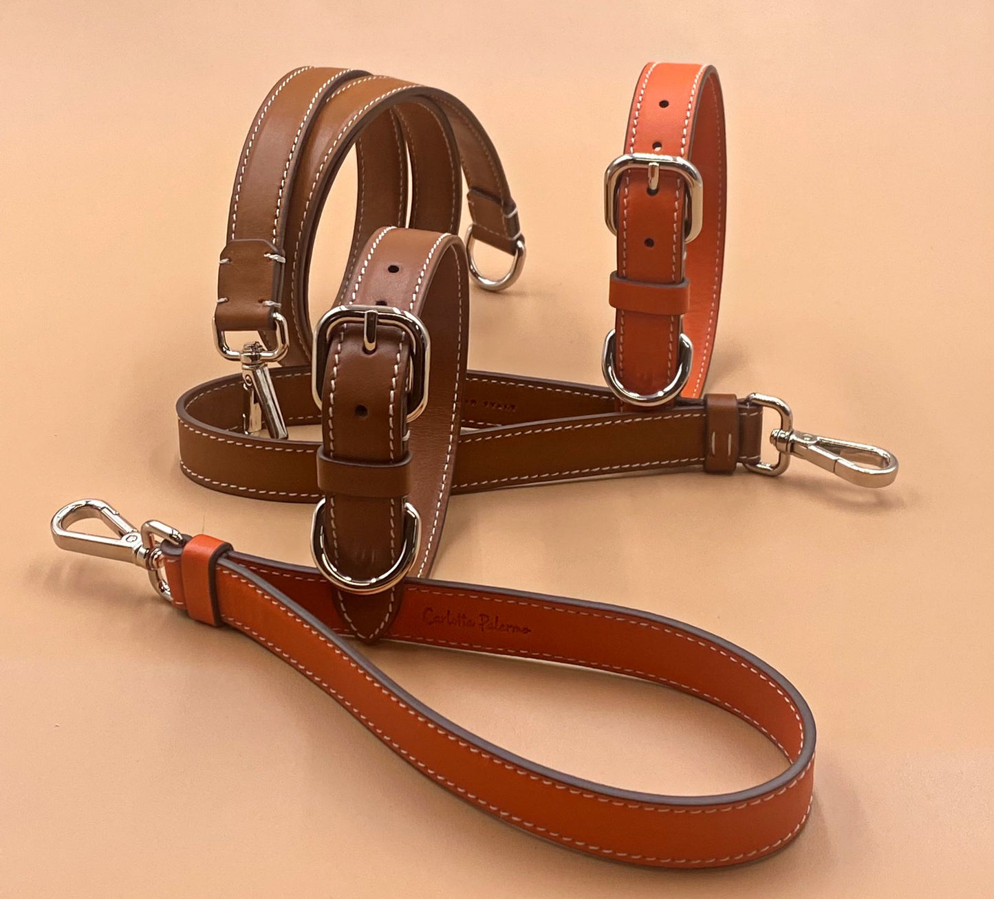 Carlotta Palermo Leather Dog Leash - 12 colors