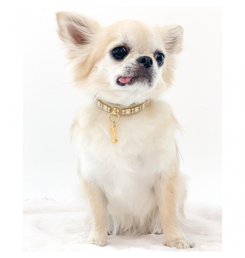 forpetsonly-collare-per-cani-zircon-gem-collar