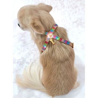 Rainbow Mini Jewel Camel Harness