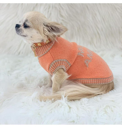 pull-dolcevita-forpetsonly-more-amore-pull-orange